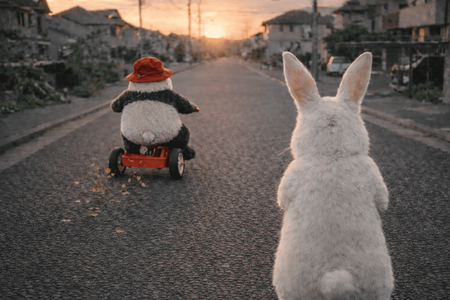 ウサギのバイク｜rabbit’s bike, spitzs